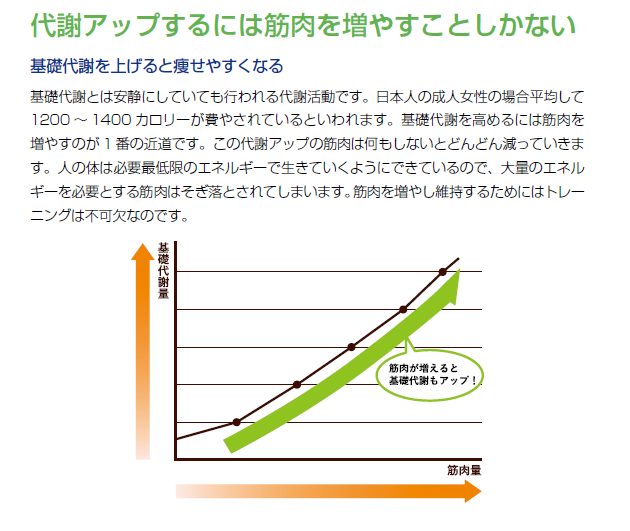 筋肉とカロリー消費と基礎代謝｜ダイエット方法｜女性ボディメイク