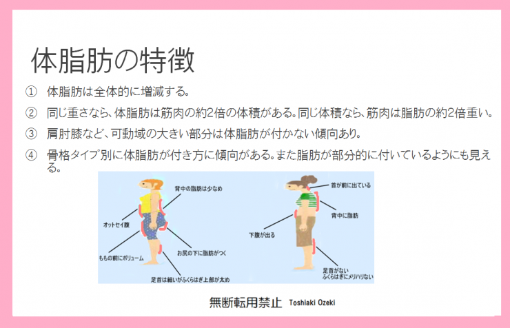 体脂肪の特徴　全体的に痩せるダイエット　ボディメイク方法　部位痩せダイエットとボディメーク、骨盤傾き、関節角度、モデル体型のボディメイクトレーニング方法の解説