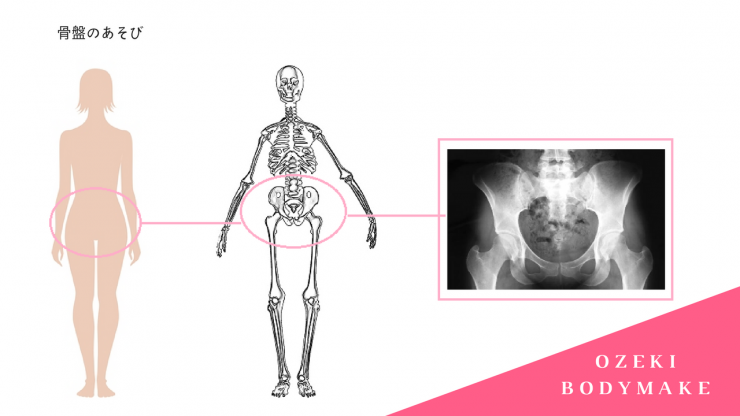 ボディメイク　骨盤のあそび　モデル体型　ボディメイク方法　パーソナルトレーナー　ボディメイクジム