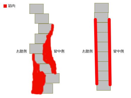 姿勢トレ　シセトレ　