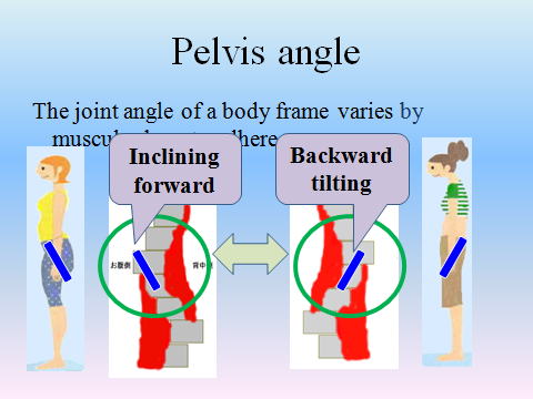 骨盤前傾きと骨盤後傾のシセトレ画像