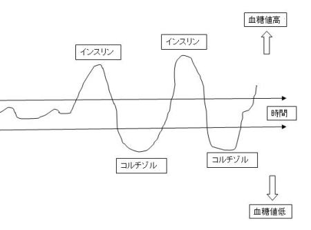 血糖値　インスリン　コルチゾル　ＧＩ値