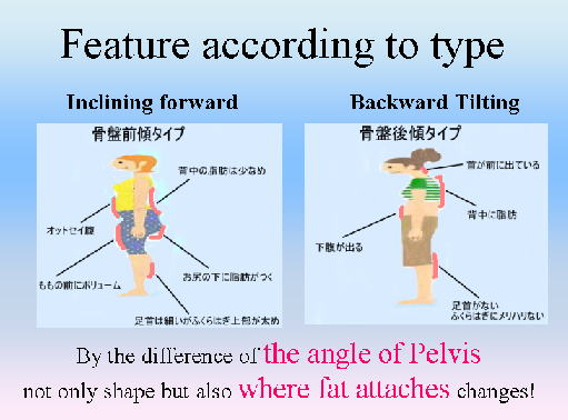 シセトレ　しせとれ　関節角度