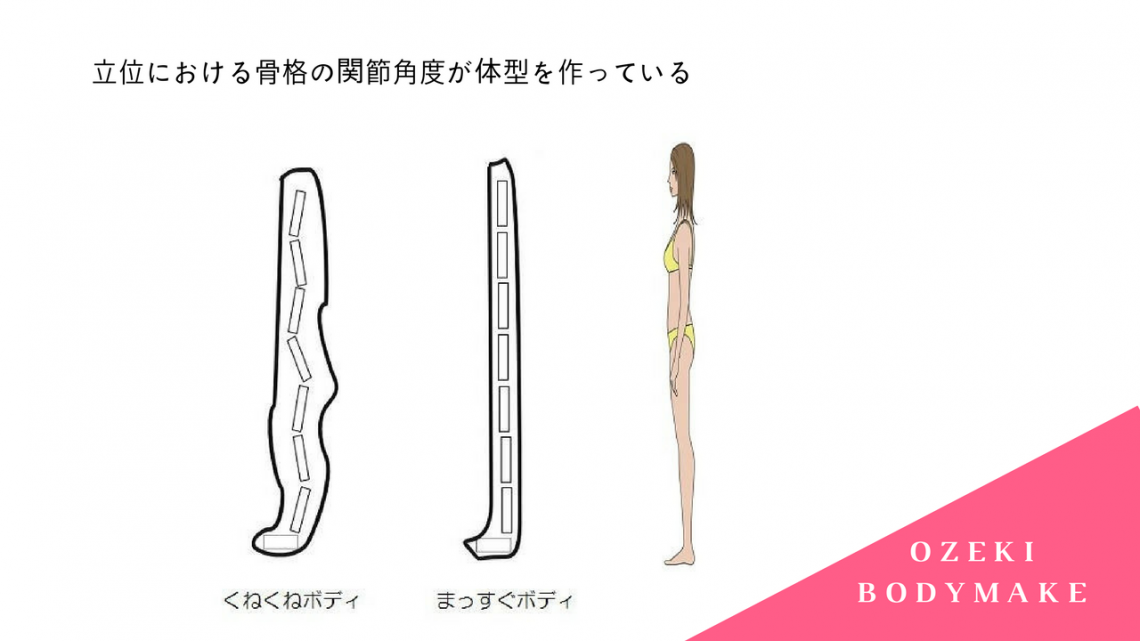 膣位における骨格の関節角度が体型を作っている まっすぐボディ くねくねボディ