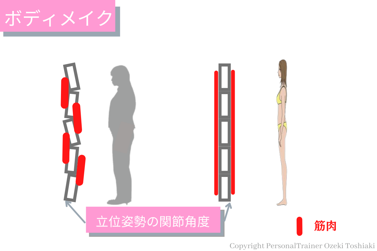 ボディメイク　関節角度