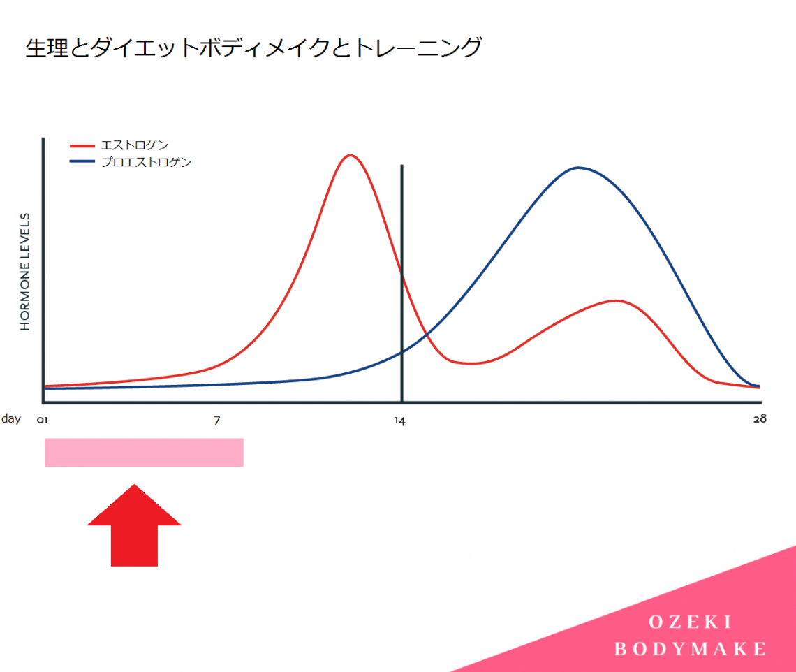 ダイエットボディメイク