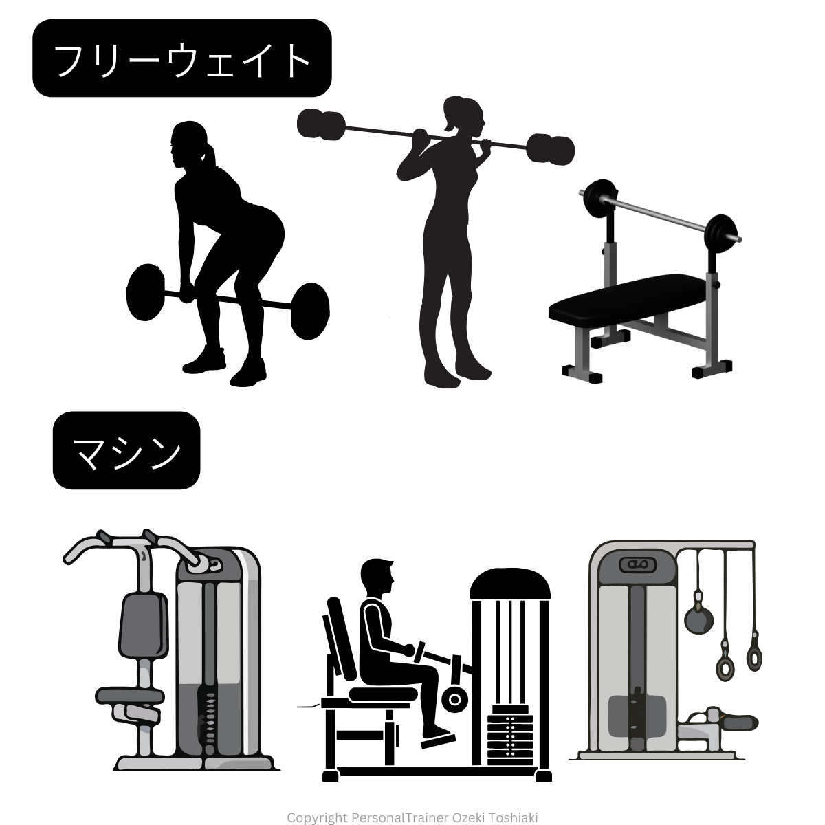 マシンとフリーウェイト｜モデル体型ダイエット