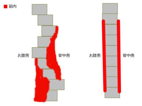シセトレ®関節角度