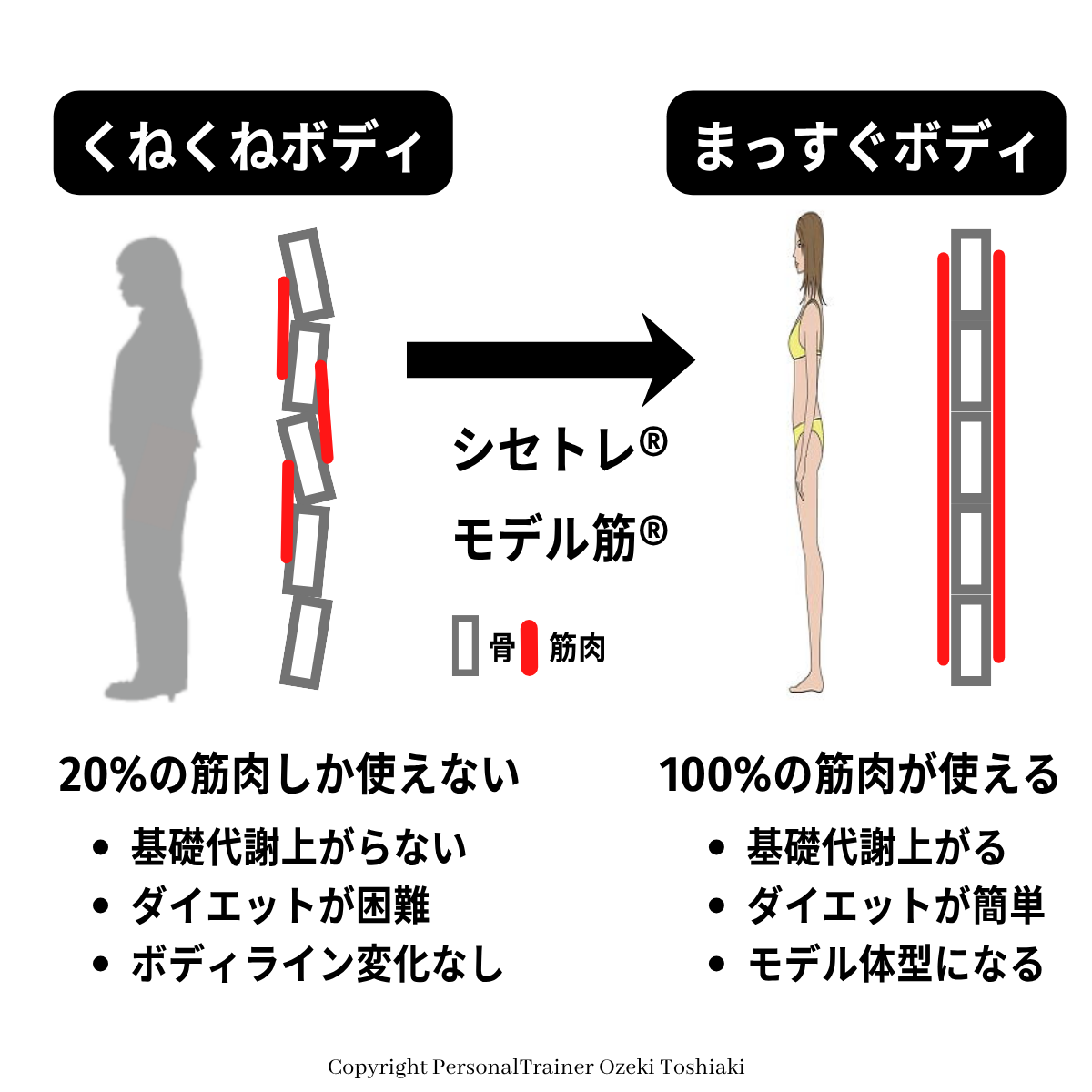 まっすぐボディ：100%の筋肉が使えるトップモデルの骨格　くねくねボディは20%の筋肉しか使えないからダイエットが困難