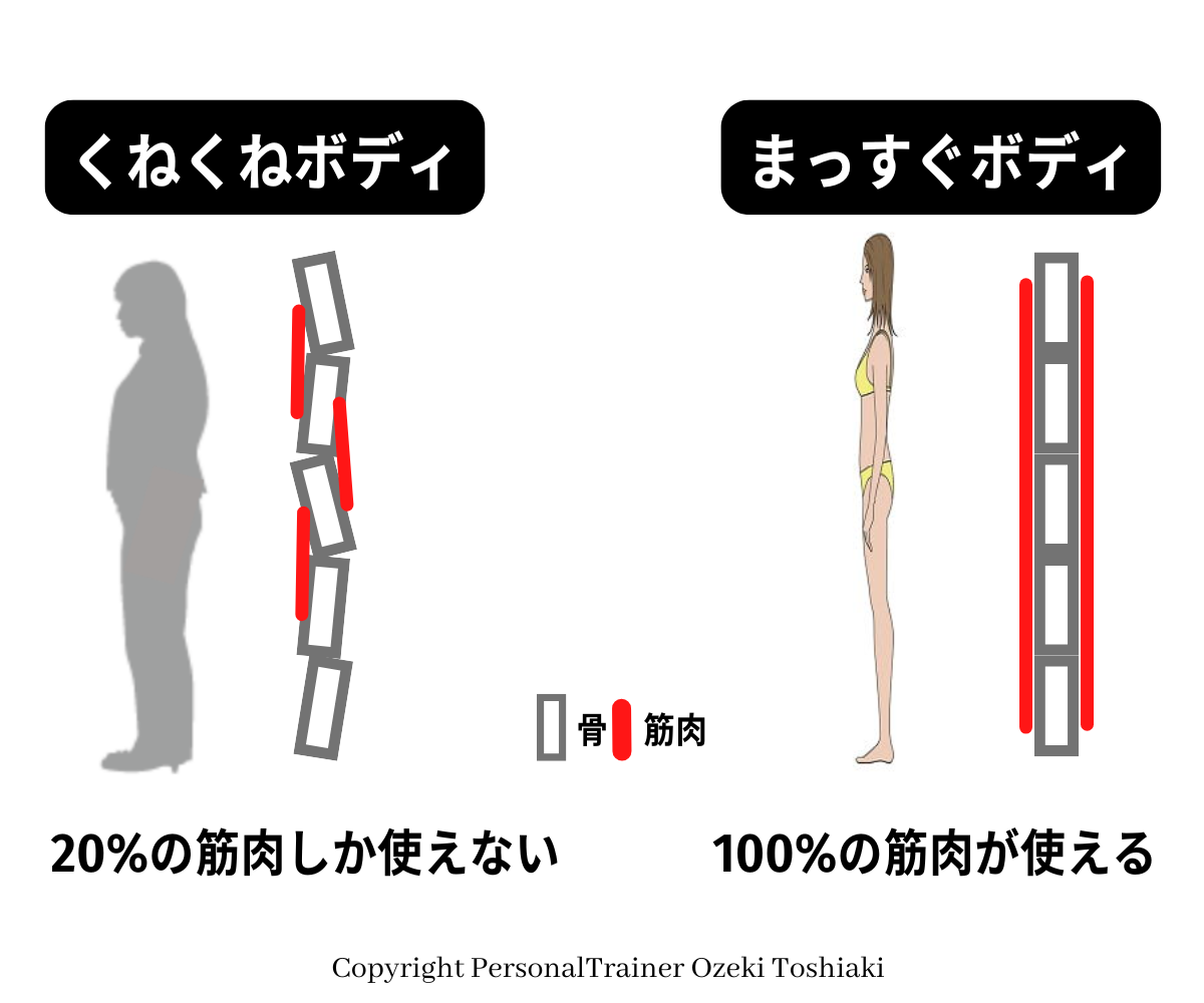 「くねくねボディ」筋トレをしても使える筋肉は20％、「まっすぐボディ」は、100％筋肉を使うことができ、筋肉量が増え、ダイエットは格段に簡単｜モデル体型ダイエット