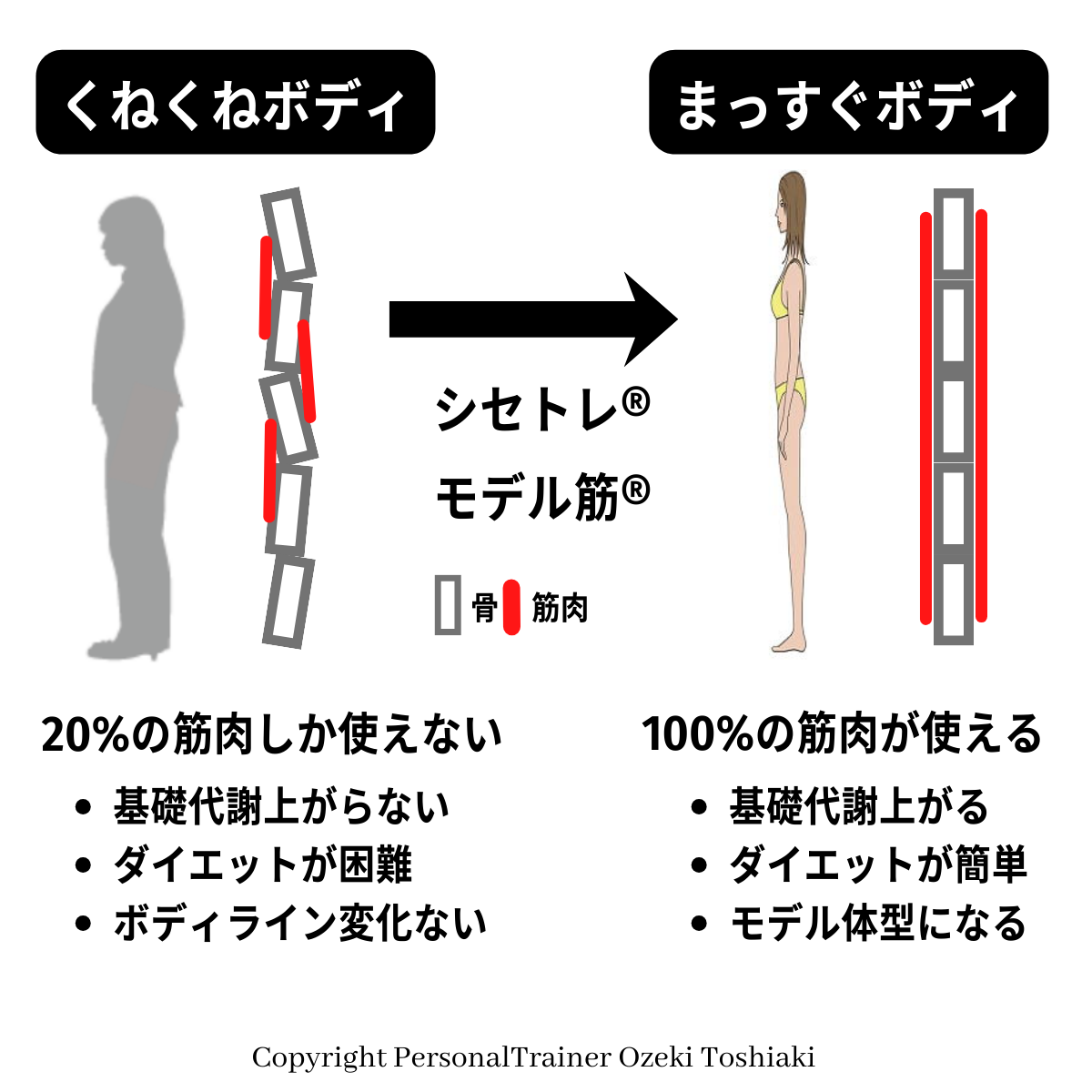 まっすぐボディ：100%の筋肉が使えるトップモデルの骨格　くねくねボディは20%の筋肉しか使えないからダイエットが困難