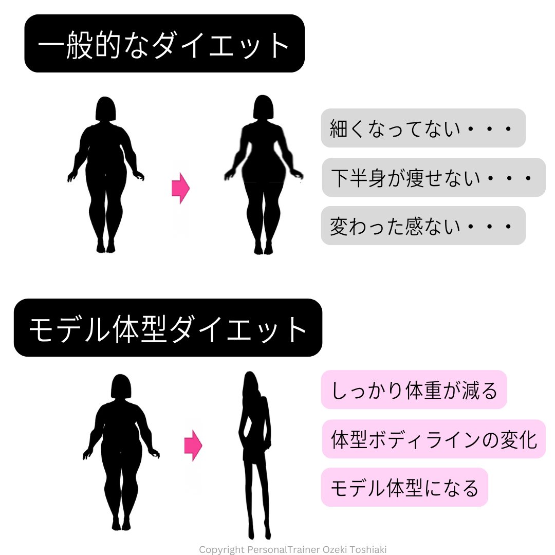 一般的なダイエット・モデル体型ダイエット